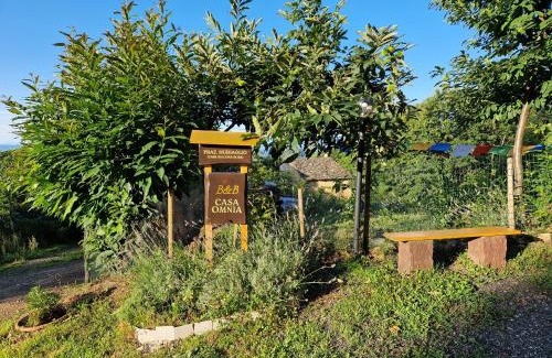 Castellamonte Cama Y Desayuno | Casa Omnia B&B
