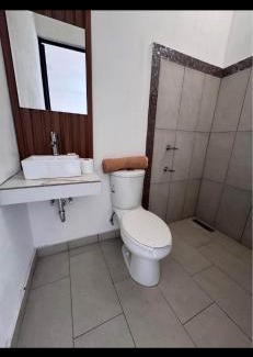 Mineral de Pozos Apartamento | Casa orquídea