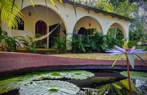 Troncones Casa | Casa pájaros- Habitacion Quetzal