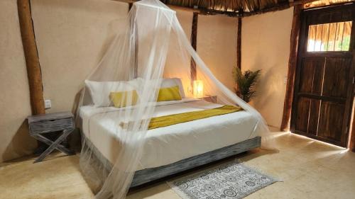 Felipe Carrillo Puerto Hotel | Casa Pakluum