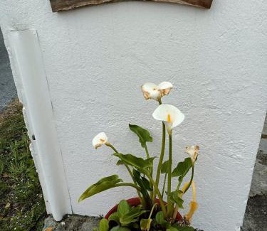 Ribadeo Casa | Casa Pancha