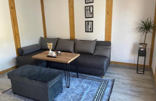 Tuzla Casa | Casa Panonnica