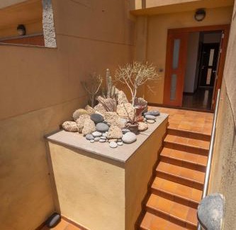 El Medano Casa | Casa Paradise