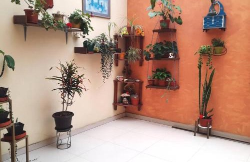 El Vecino Apartamento | Casa parque de la Luz