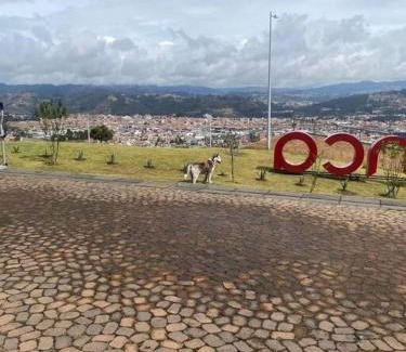 El Vecino Apartamento | Casa parque de la Luz
