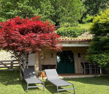 Creciente Casa | Casa Piñeiro