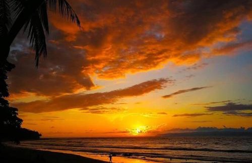 Langostino Casa | Casa Pilón-Pavones- Costa Rica.