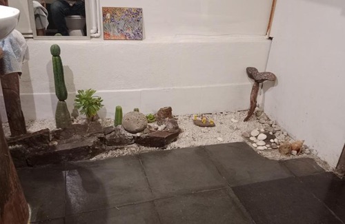 Tome Apartamento | Casa pilor