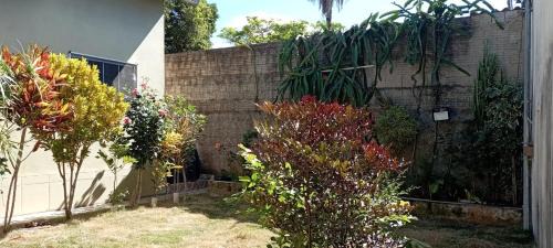 Cavalcante Casa | Casa PITAYA