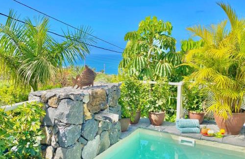 La Orotava Casa | Casa Plumeria, a Private paradise with Pool.