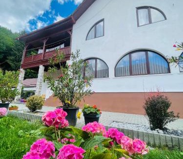 Covasna Casa | Casa POTE