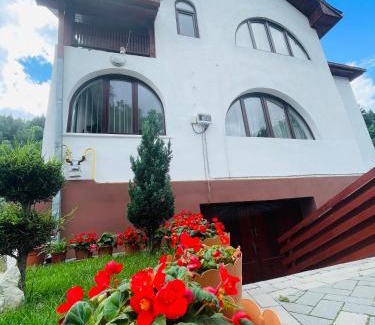 Covasna Casa | Casa POTE
