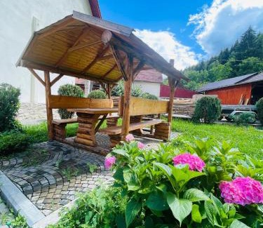 Covasna Casa | Casa POTE