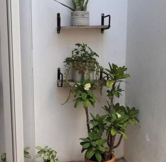 Tuxtla Gutiérrez Casa | Casa Primavera