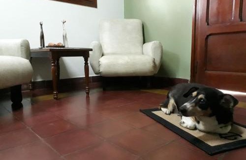 Salta Apartamento | Casa Rústica Norteña Candy Con Parking