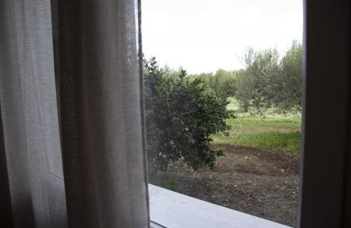 Paceco Casa | Casa Raineri