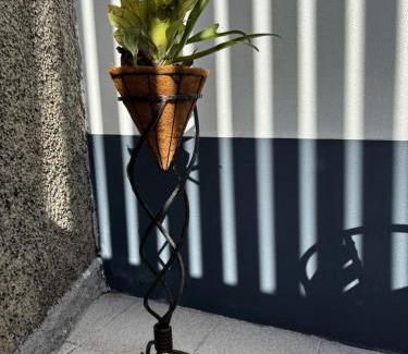Sao Roque Casa | Casa Ribeiro