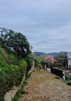 Pinhao Casa | Casa Rodrigues