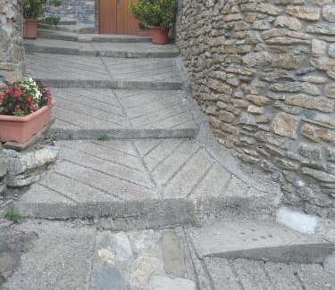 Sort Casa | Casa Rogel