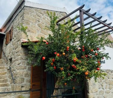 Celorico da Beira Casa | Casa Romã