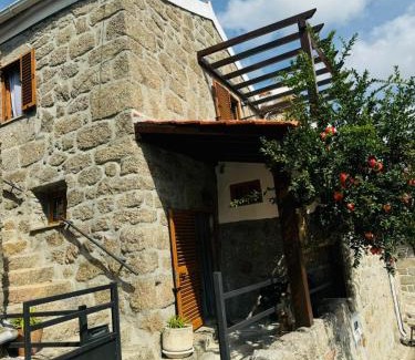 Celorico da Beira Casa | Casa Romã