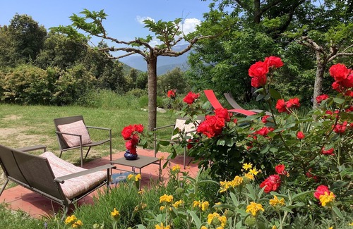 Tavera Casa | Casa Rossa is a large family house surrounded by greenery!