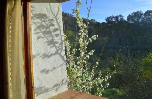 El Colmenar Casa | Casa Rural Ahoraya