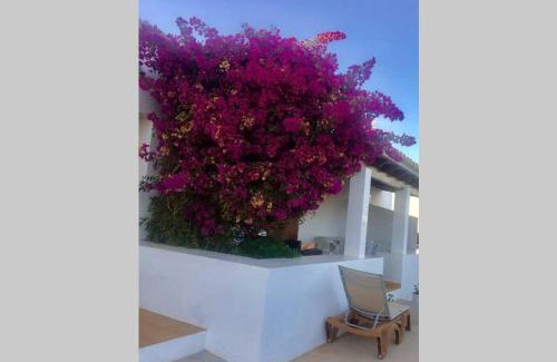 Formentera Casa | Casa Rural Es Cap de Barbaria