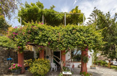 Guajar Faraguit Casa | Casa Rural La Molinera