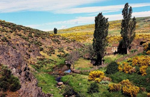Navarredonda de Gredos Casa | Casa Rural La Vereilla