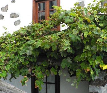 Los Llanillos Casa | Casa Rural Los Llanillos