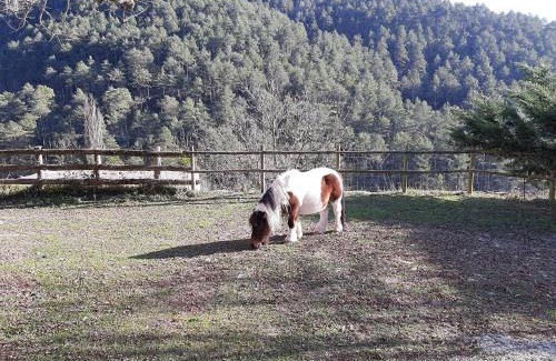 Campdevanol Apartamento | Casa Rural Mas Pujol
