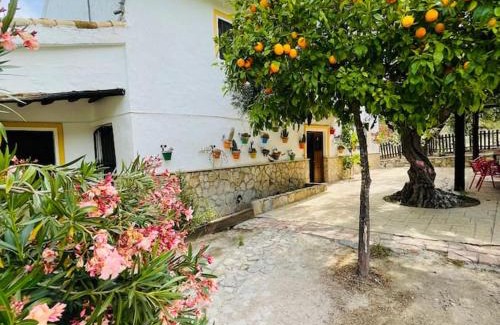 Pruna Casa | Casa Rural Privada Belén