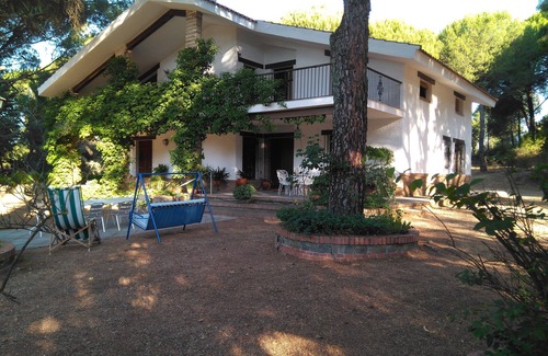 Andújar Cabaña | Casa Rural Viña Arroyo del Gallo