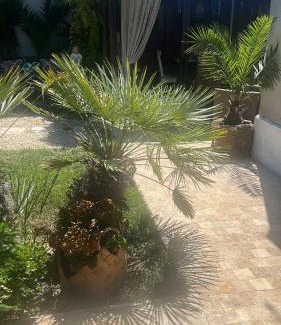 Doua Mai Casa | Casa Saga proprietate administrata de o gazda particulara