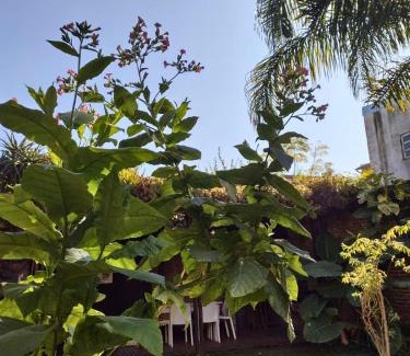 Acassuso Casa | Casa San Isidro pileta jardín parrilla a metros del río