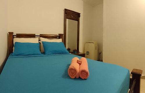 Mamatoco Cama Y Desayuno | Casa San Sebastian