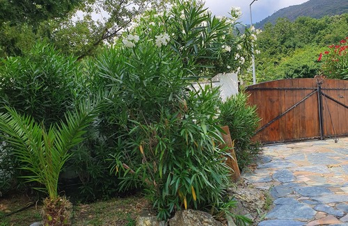 Scolca Casa | Casa serena encantadora casa con piscina
