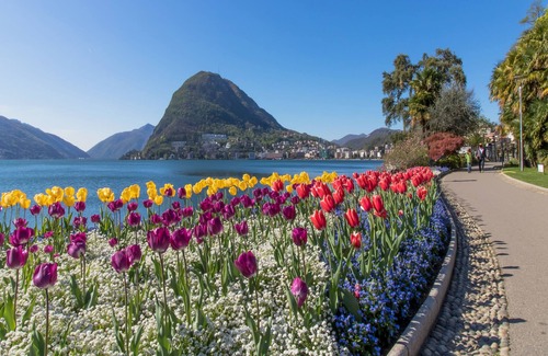 Lugano Apartamento | Casa Serenella Splendid Lake View