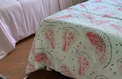 Weissopolis Casa | Casa Simples Para Quem vem a Trabalho