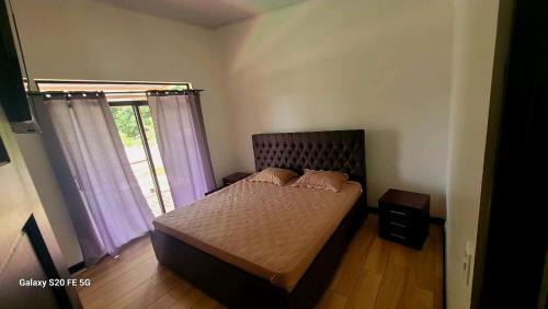 Coyolar Casa | Casa Stega