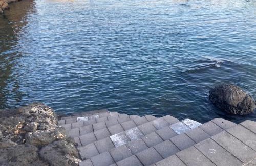 Picanello-Ognina-Barriera-Canalicchio Apartamento | Casa Sul Golfo di Ognina