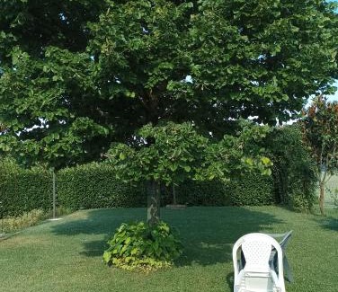 Ponte d'Assi Apartamento | Casa sulla via di Francesco
