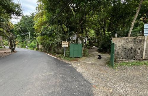 Montezuma Casa | Casa Susen