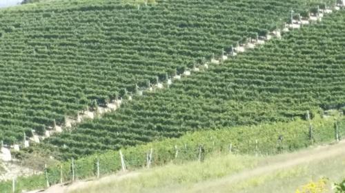 Marsaglia Cama Y Desayuno | Casa Tarò