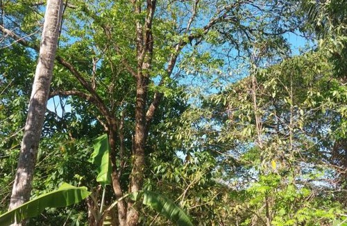 Puerto Carrillo Casa | Casa Taupe
