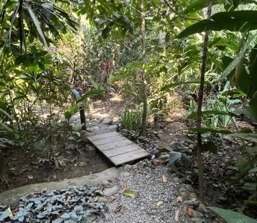 Cocles Casa | Casa Teka a Peaceful Stay Near Beach and Town