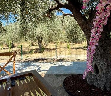 Prinos Cabina | Casa Teresi Thassos