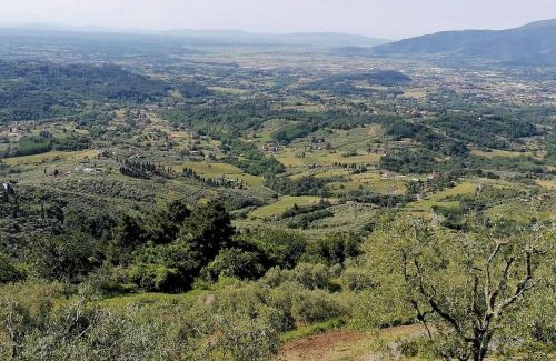 Petrognano Casa | Casa Teresina