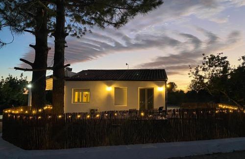 Navarres Casa | Casa the Dutchman